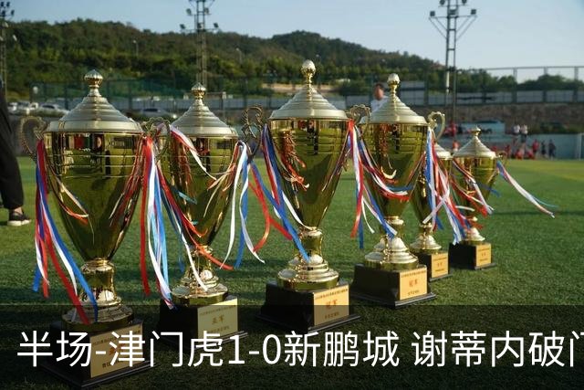 半场-津门虎1-0新鹏城 谢蒂内破门巴顿长传送助攻戴伟浚伤退
